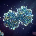 Nipah Protein Structures: A Deep Dive for Biologists